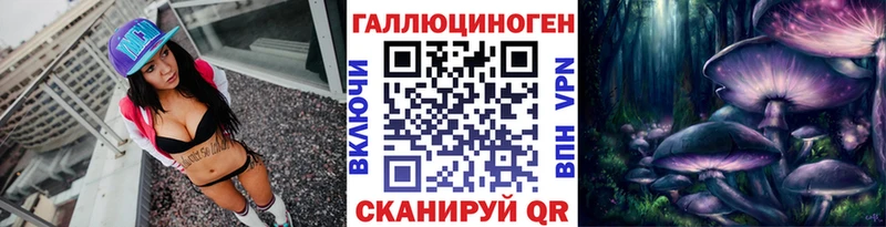 наркота  Шахунья  Псилоцибиновые грибы Cubensis 